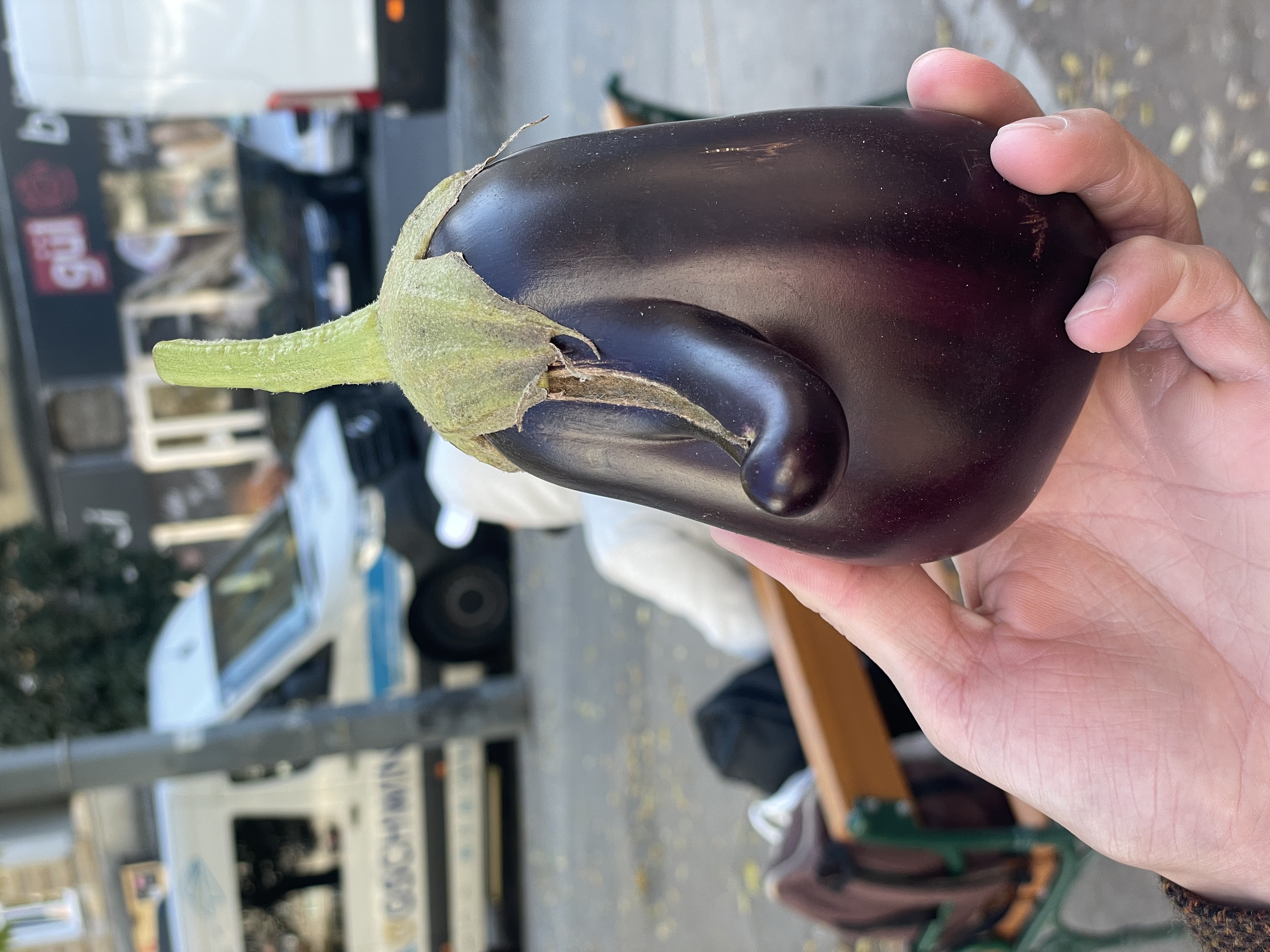 Melanzani