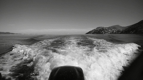 Boat Ride
